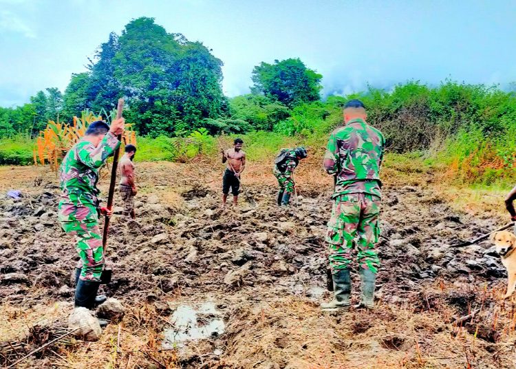 Foto Satgas Yonif Raider 142/KJ saat gotongroyong bersama warga membuka lahan perkebunan